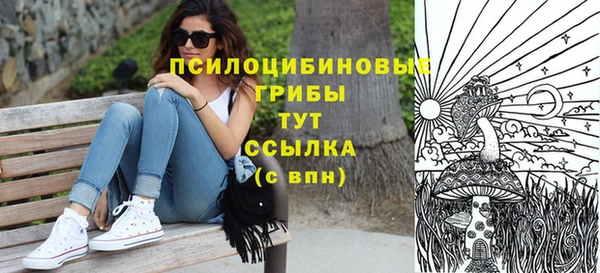 spice Заводоуковск