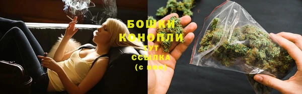 индика Заволжск