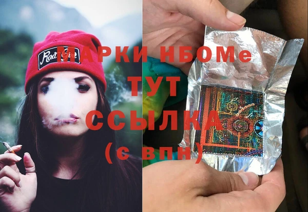 индика Заволжск