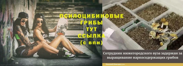 гашик Заволжье