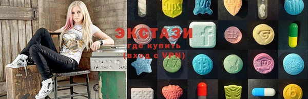 индика Заволжск