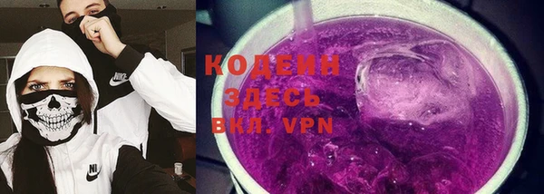 индика Заволжск